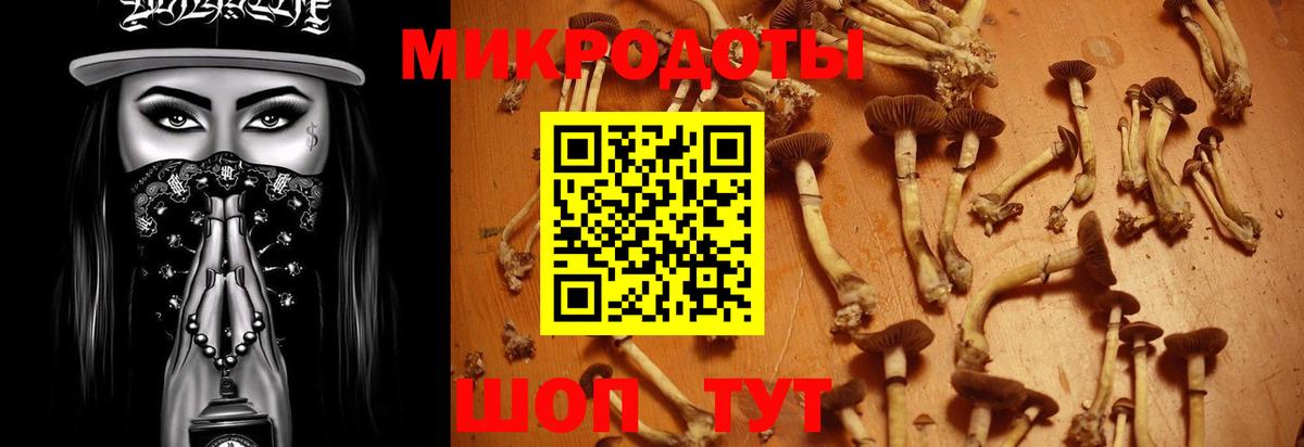 Псилоцибиновые грибы Cubensis  Галлюциногенные грибы мицелий  купить наркотики сайты  Канск  Вход с VPN 